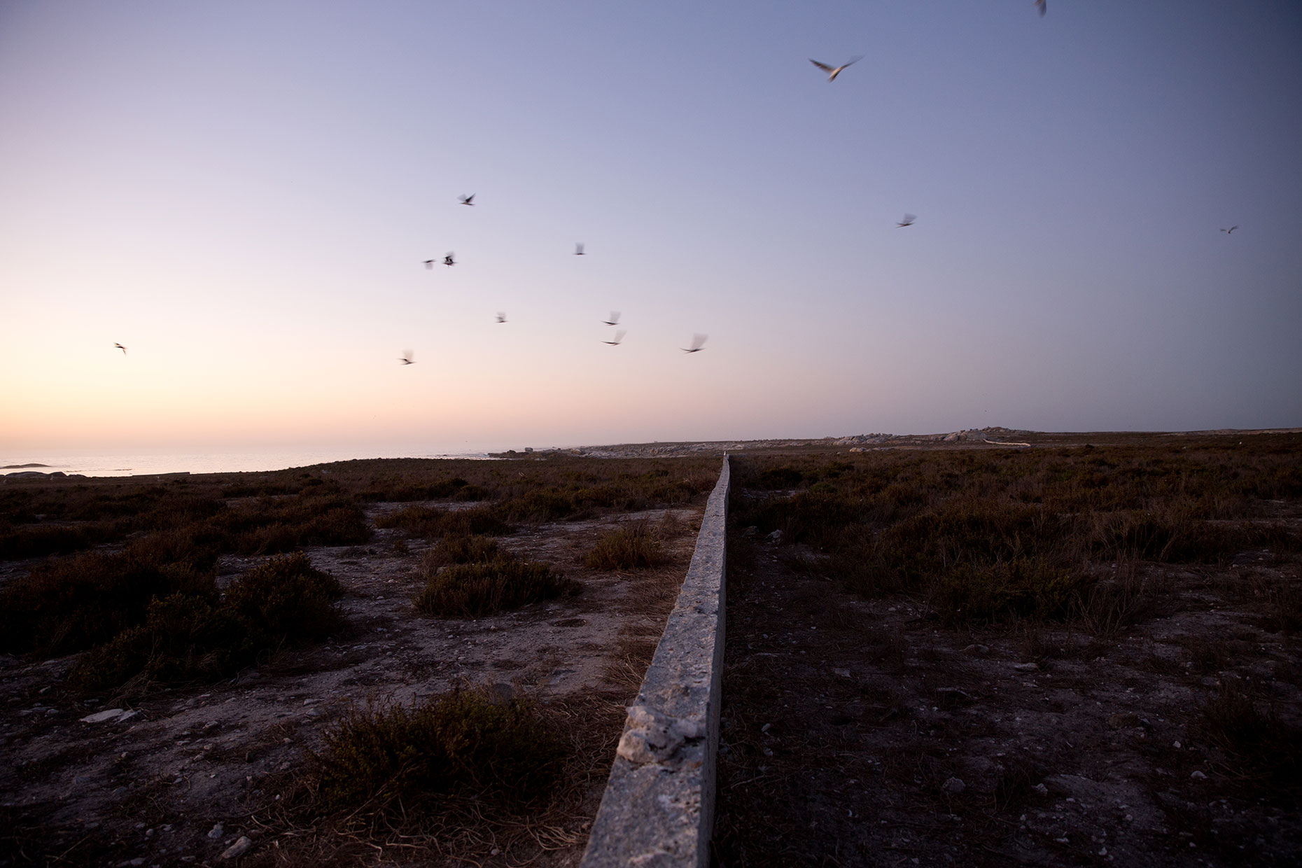 Sam-Reinders-Dassen-Island-SouthAfrica_29