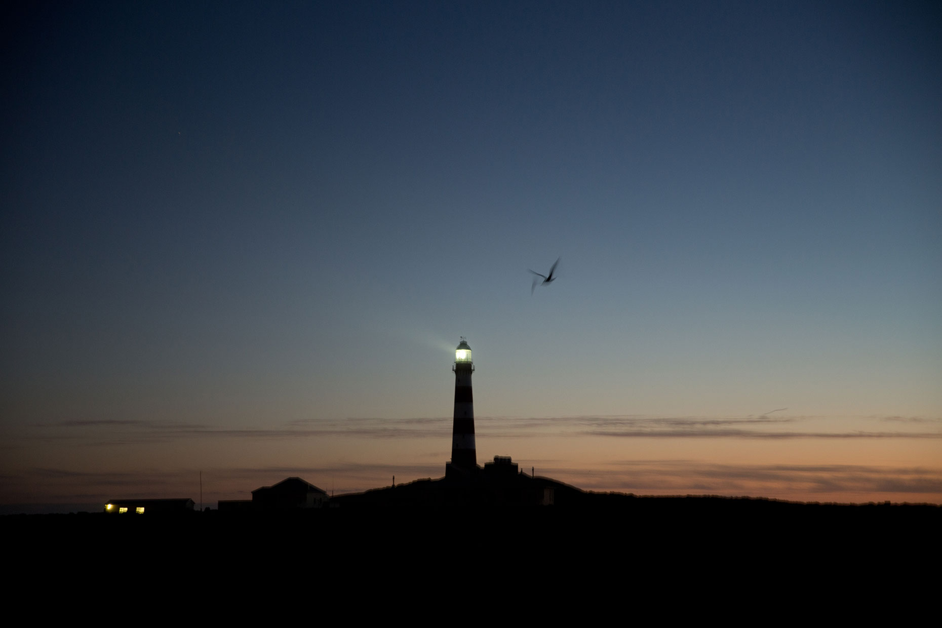 Sam-Reinders-Dassen-Island-SouthAfrica_32