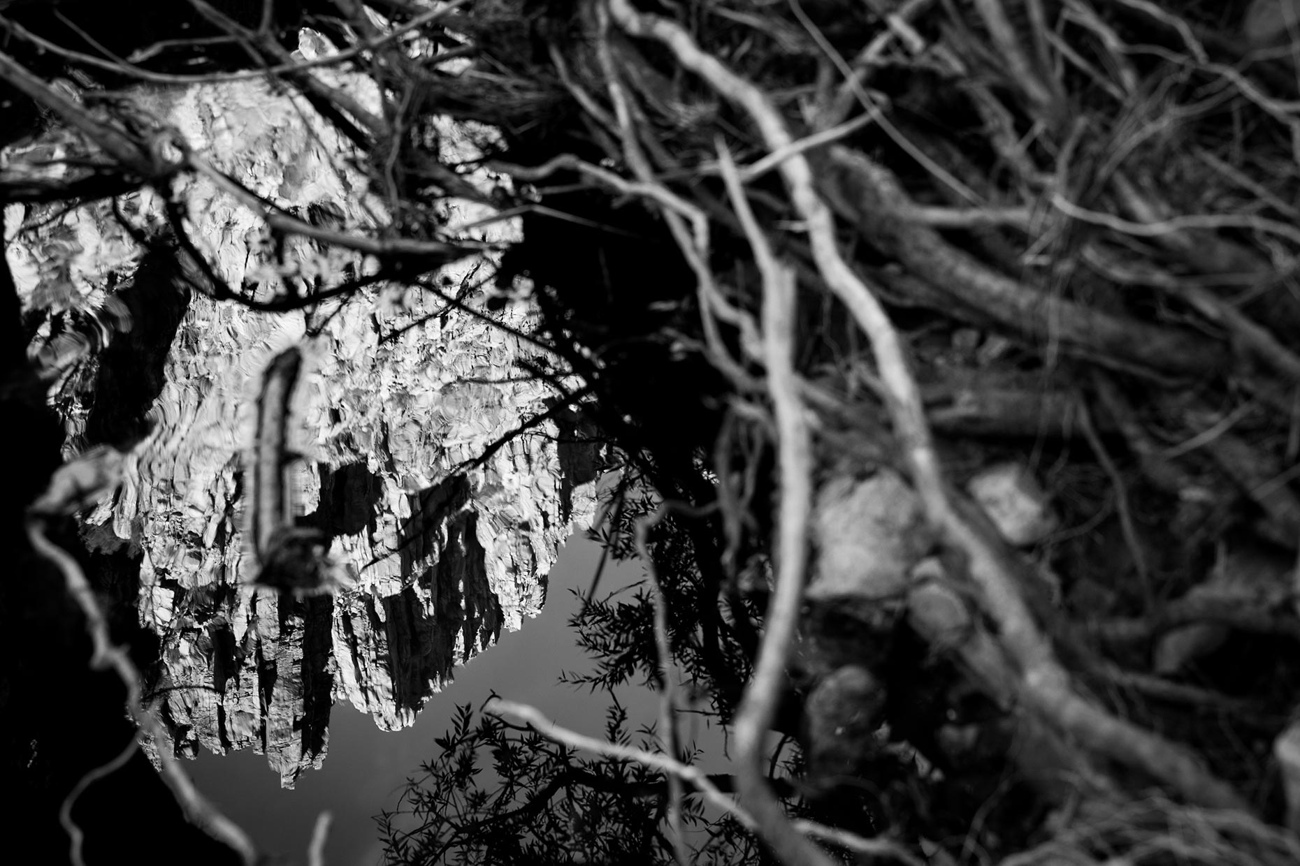 Swartberg2021_24