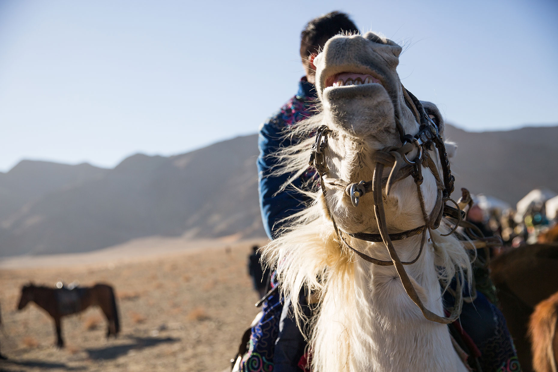 mongolia_013